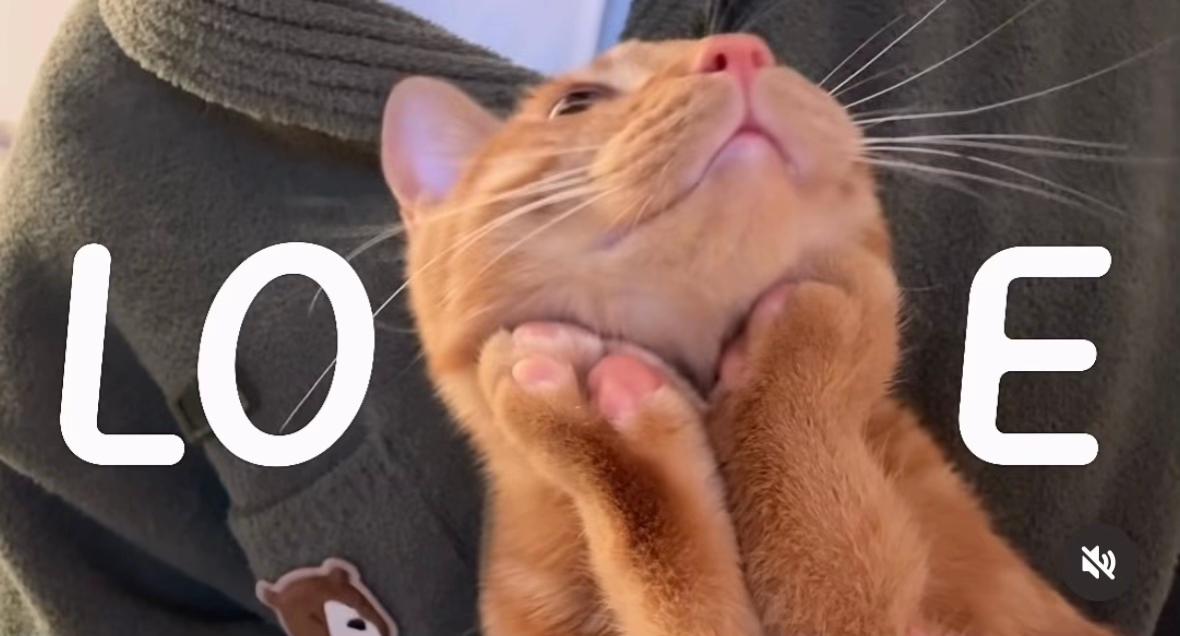 @LAURA