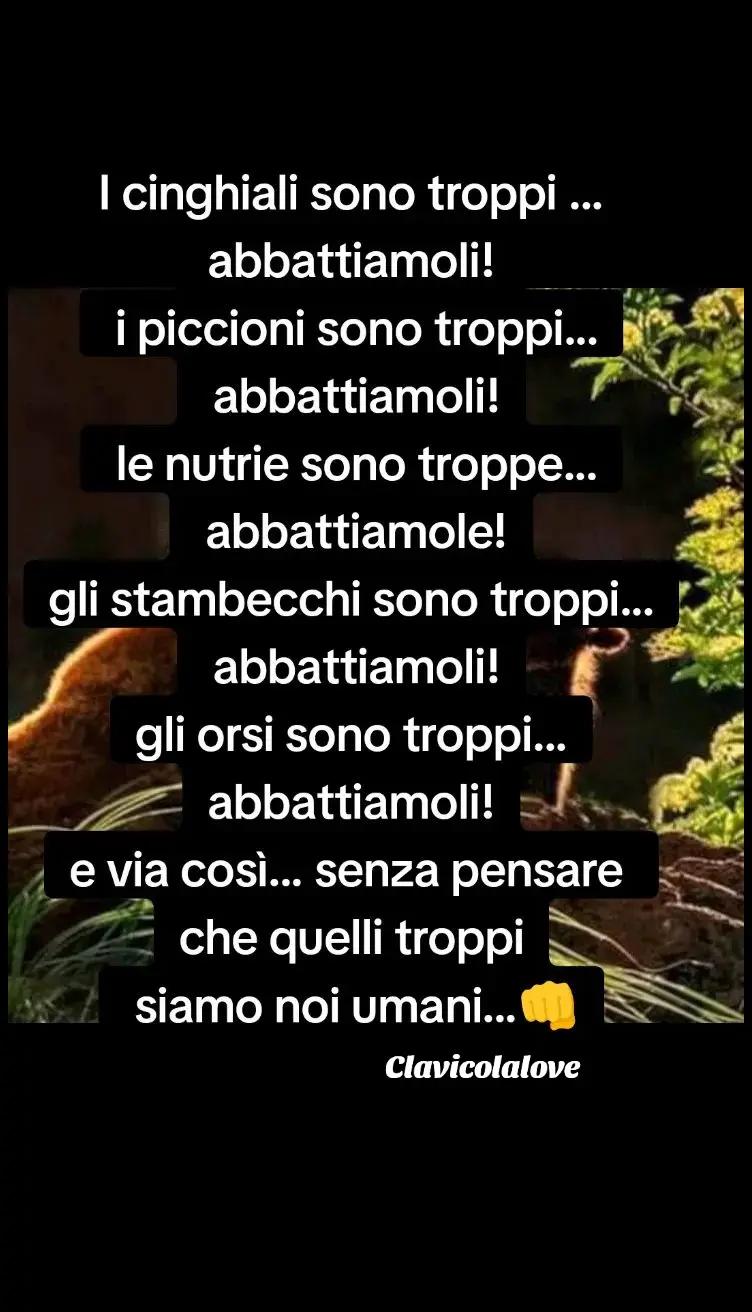 @AntoCarrara
