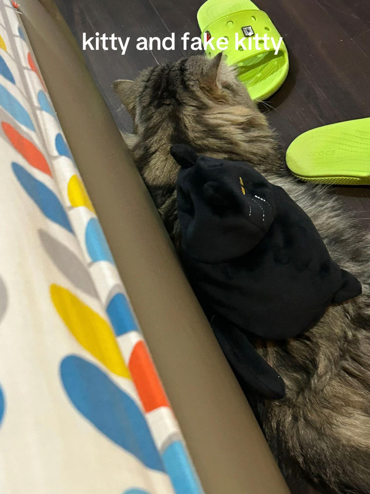 @˚ ༘♡ ·˚꒰ 🌟🐈⬛🍎🐰꒱ ₊*”