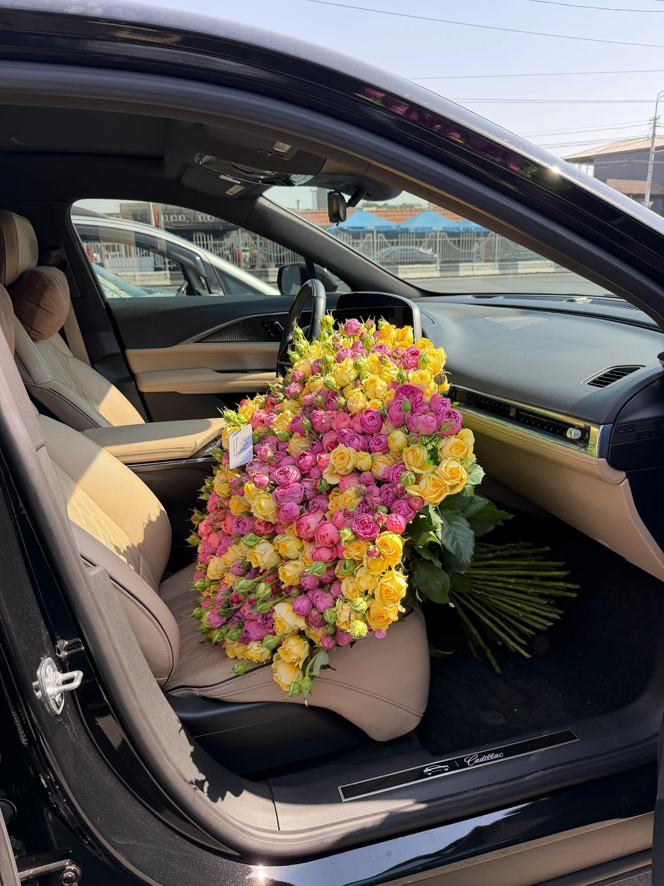 @33Rose