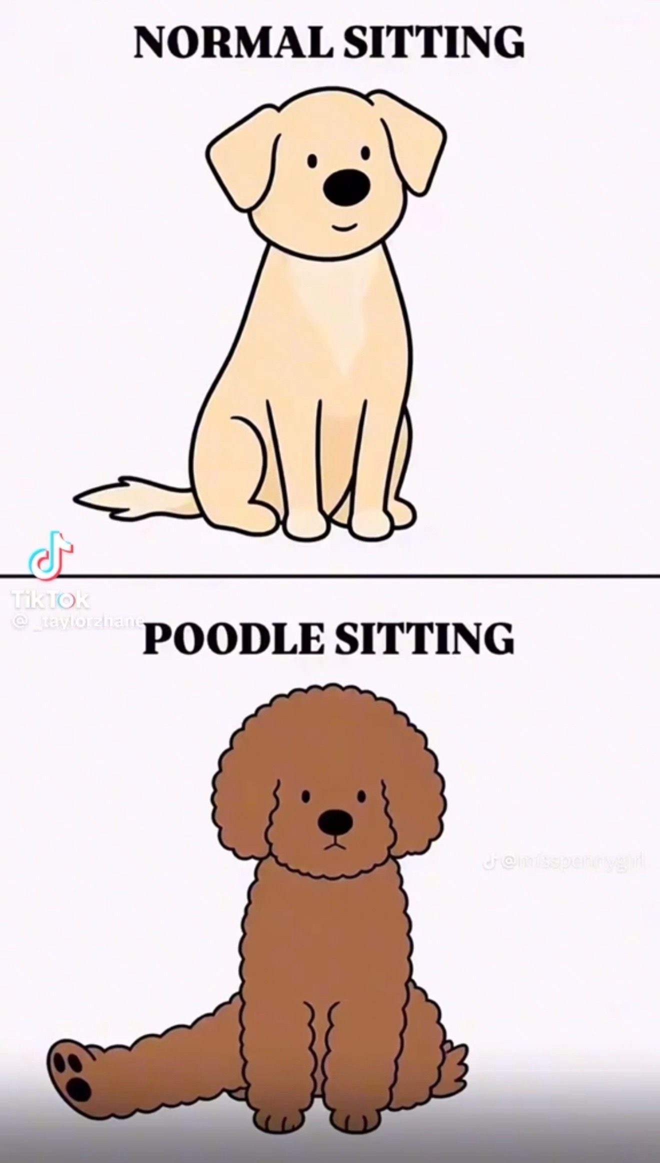 @Amber