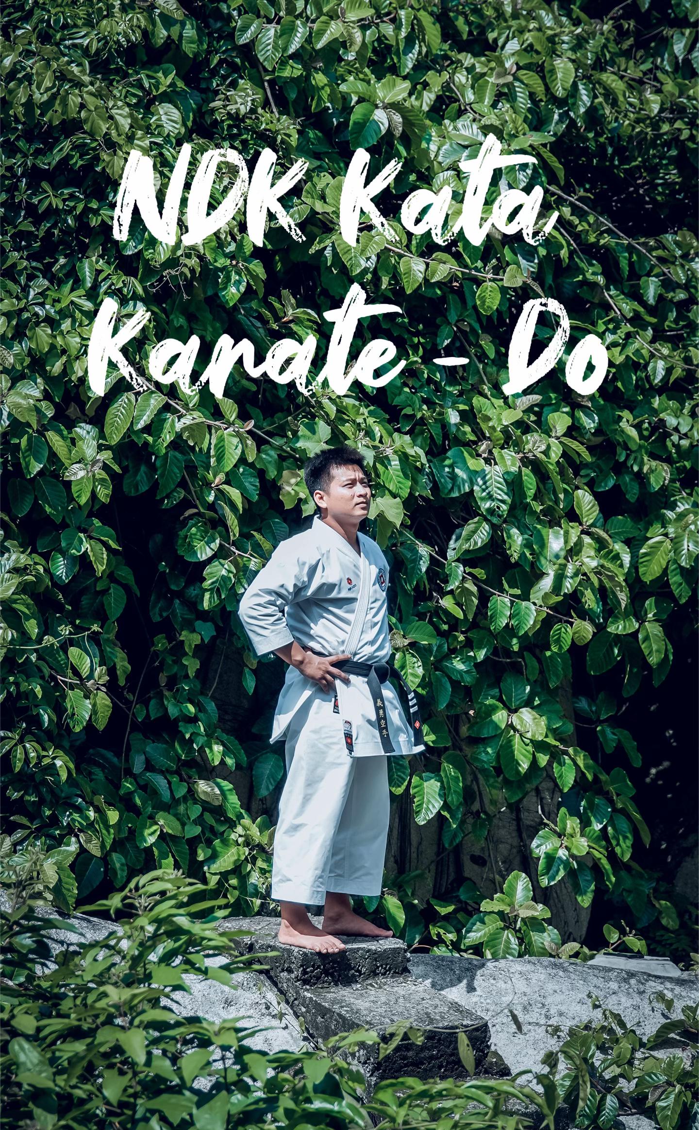 @Quang Hải NDK