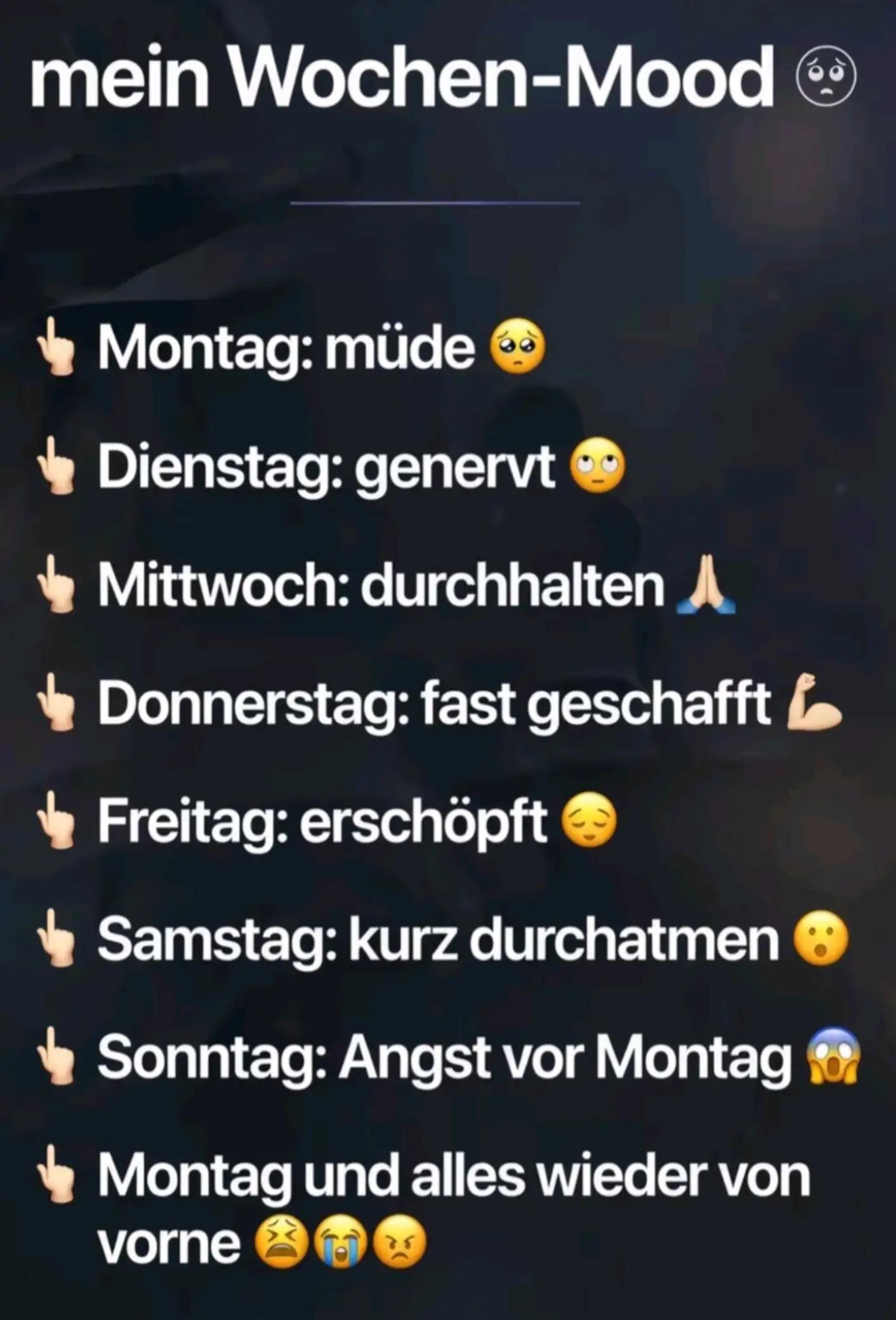@Karin-Catmama80