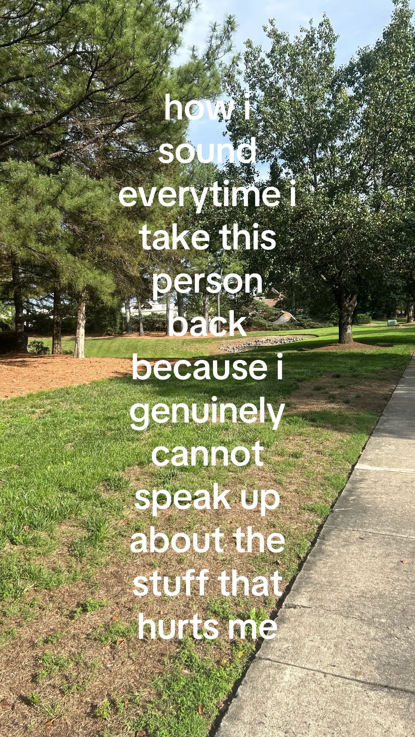 @ballhog