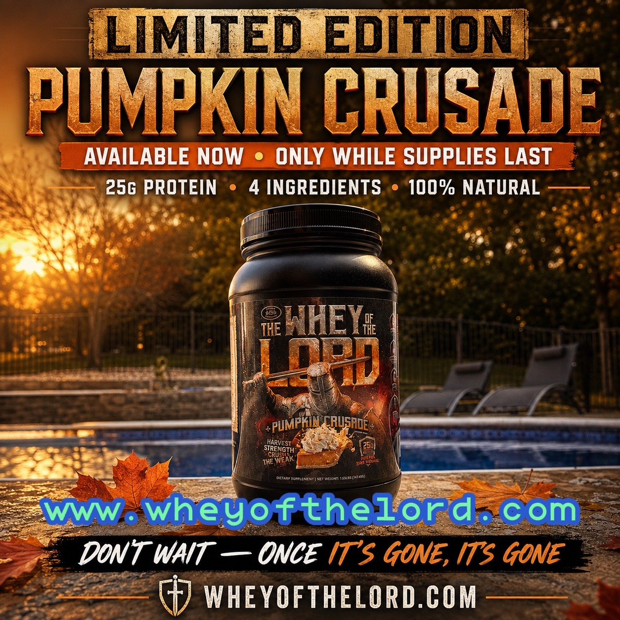 @thewheyofthelord
