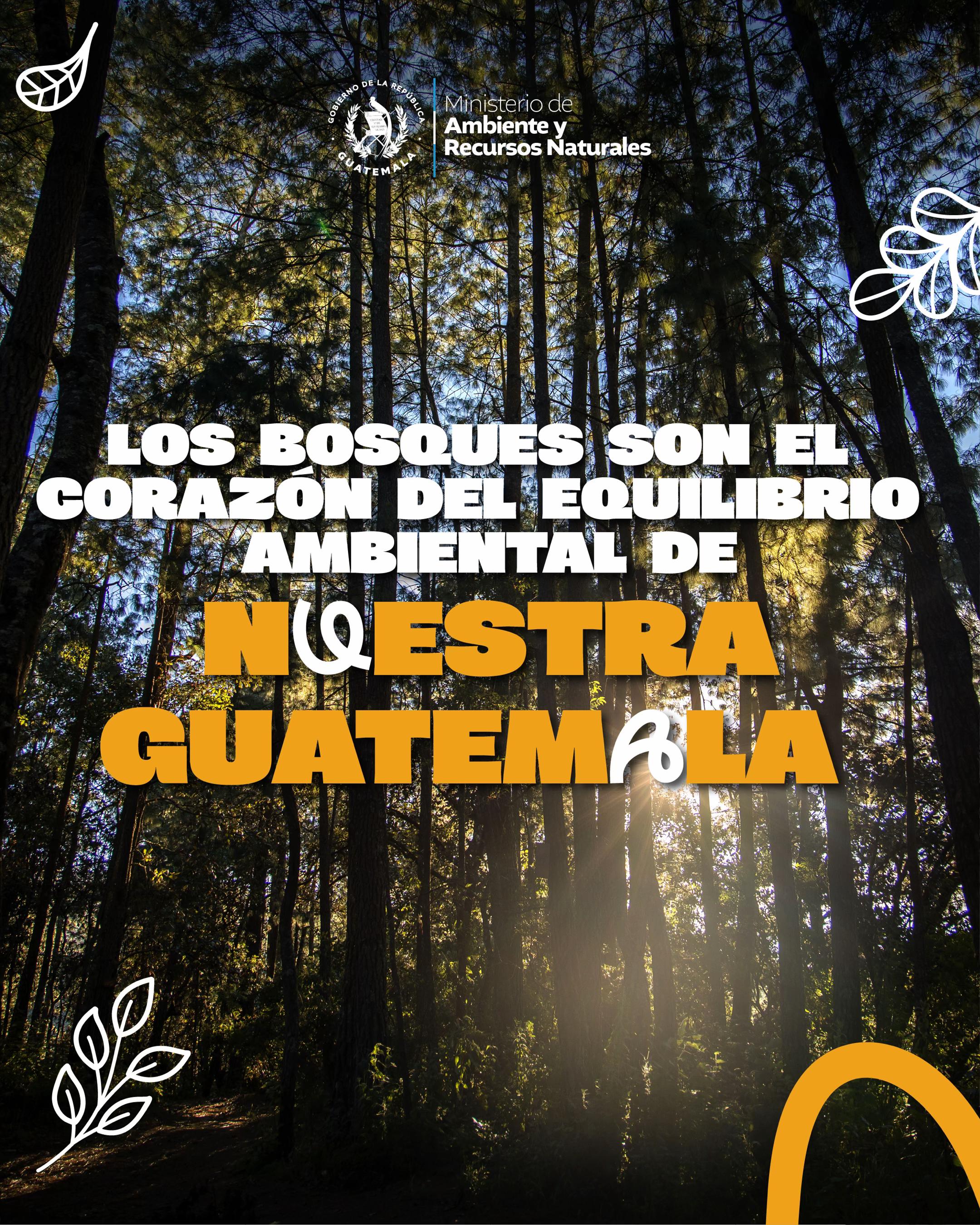 @Ministerio de Ambiente GT