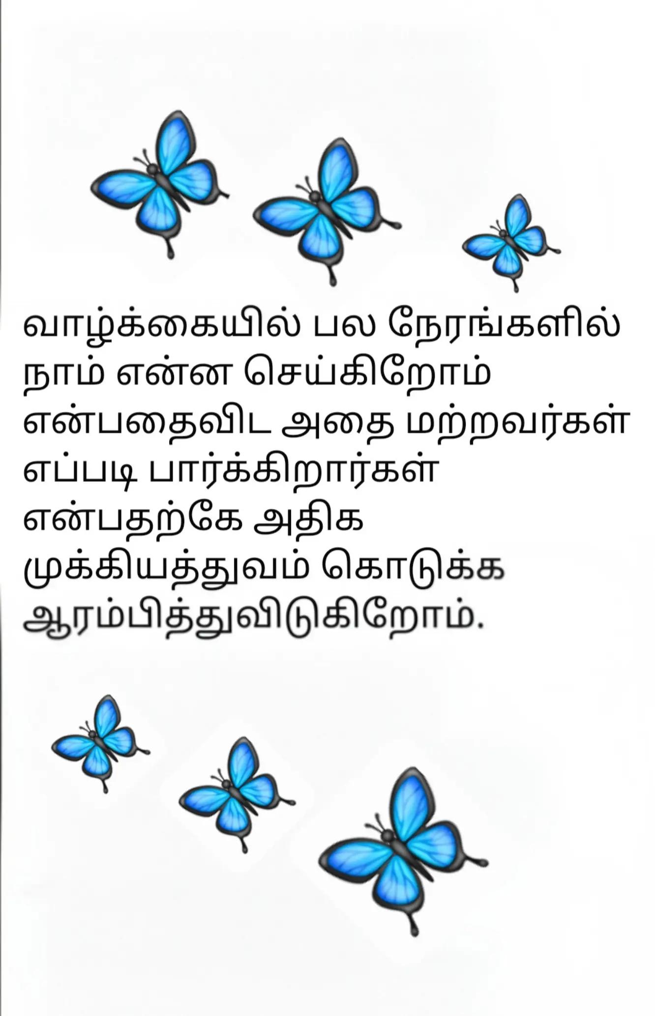 @sinna seeli