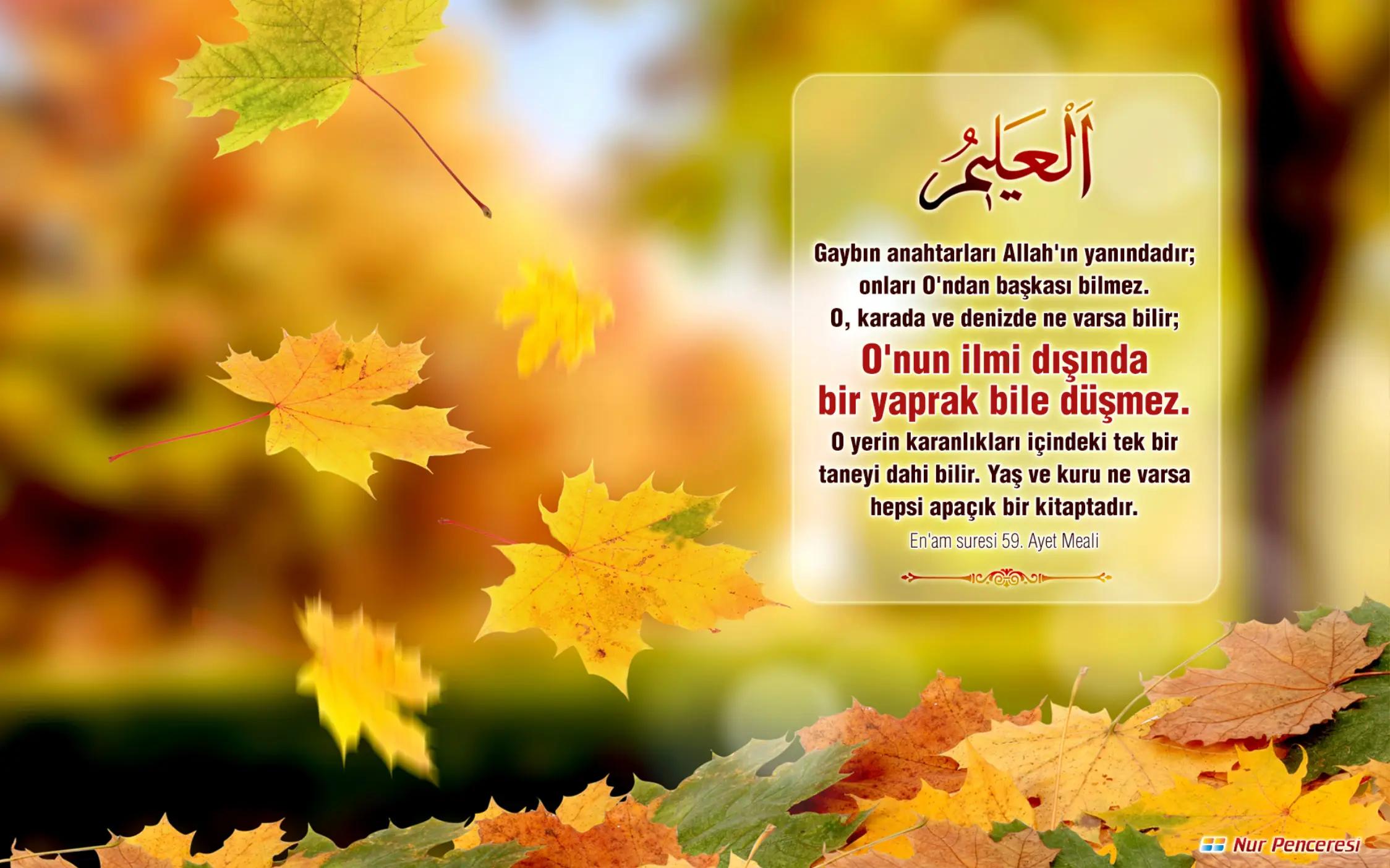 @Tuğçe Karaca