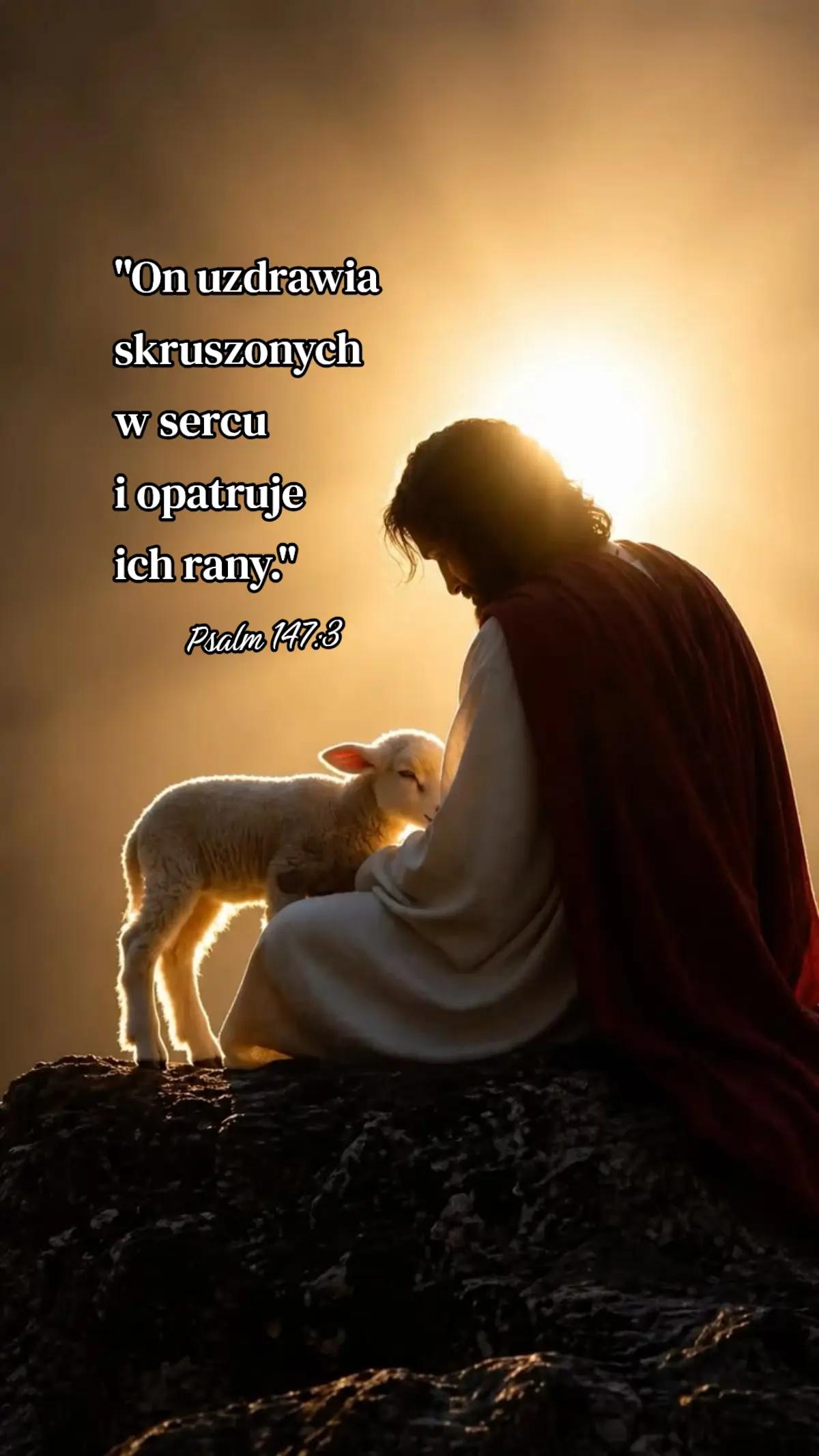 @Paweł