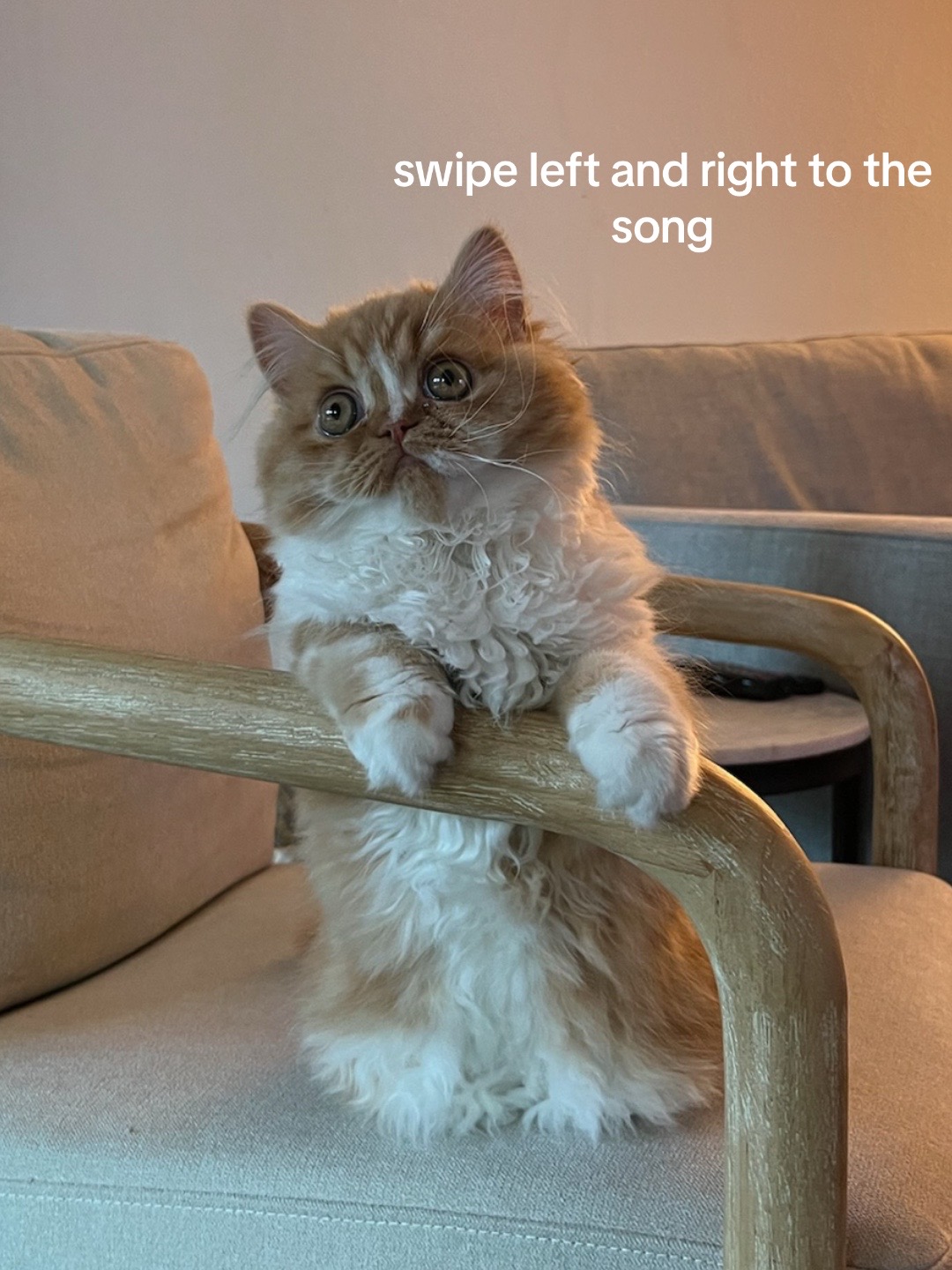 @somithepersian
