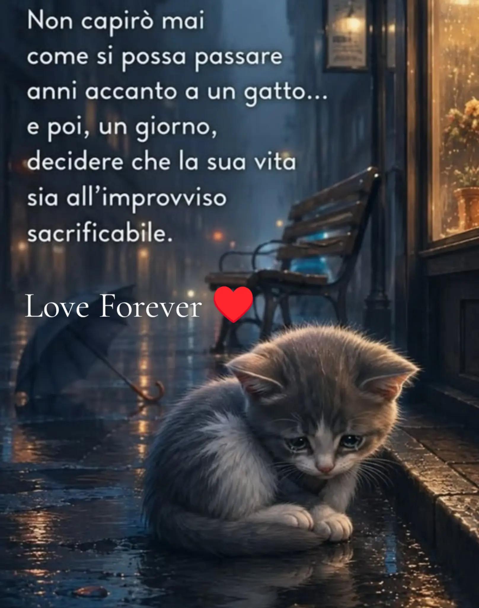 @Rossana♥️Billy❤️ Léon❤️