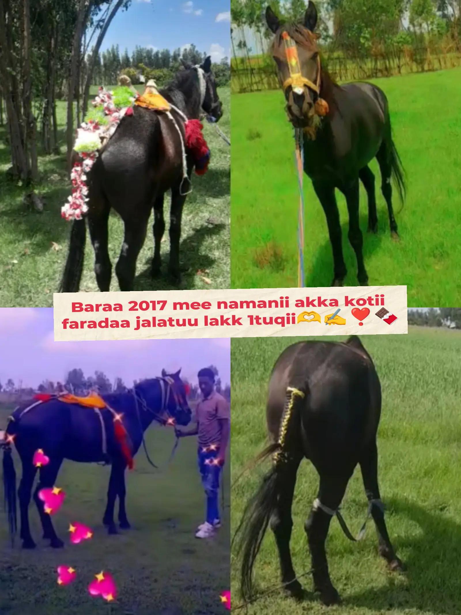 @Abdii saba🎤⁉️