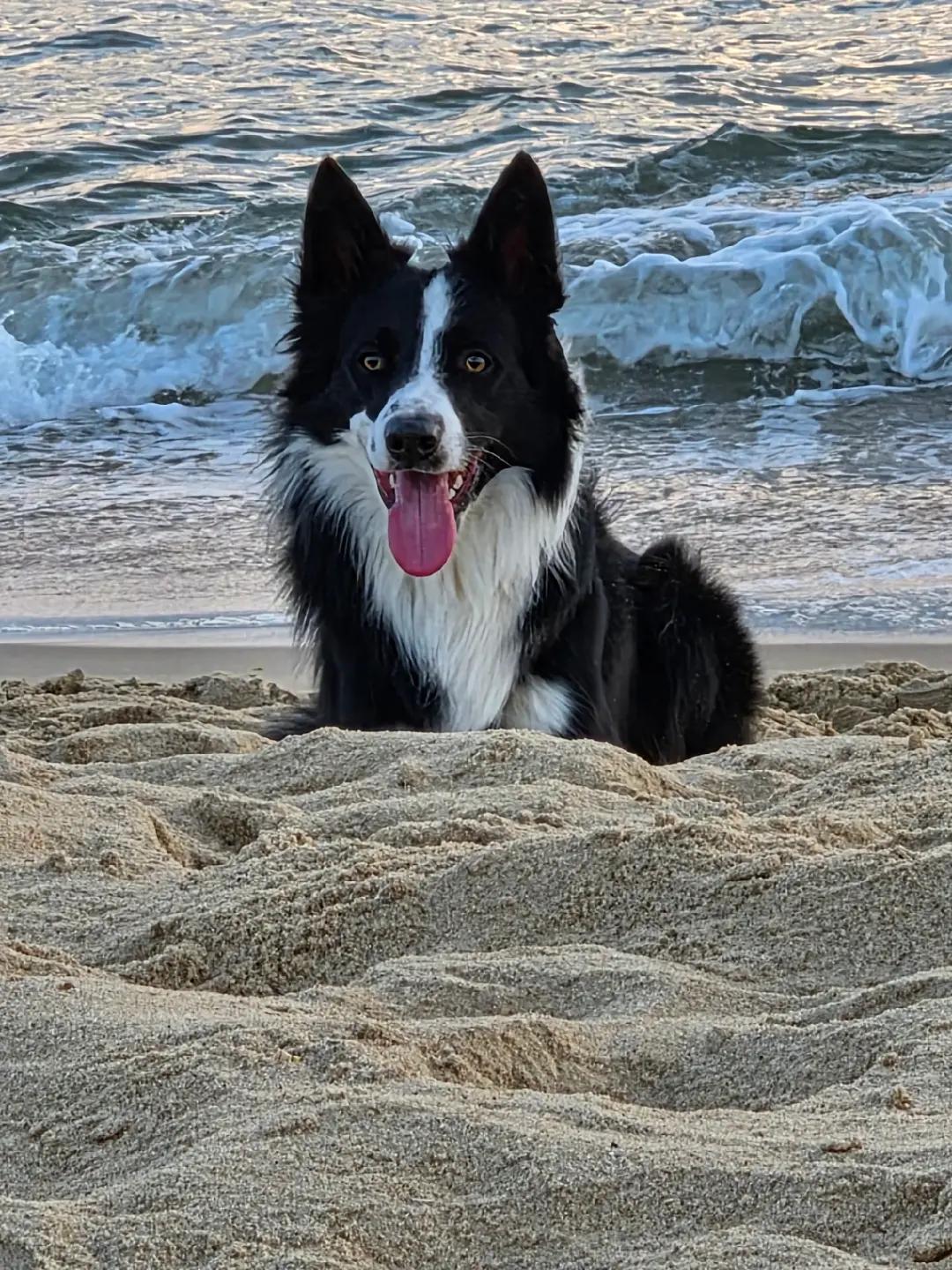 @dreamteam.agility