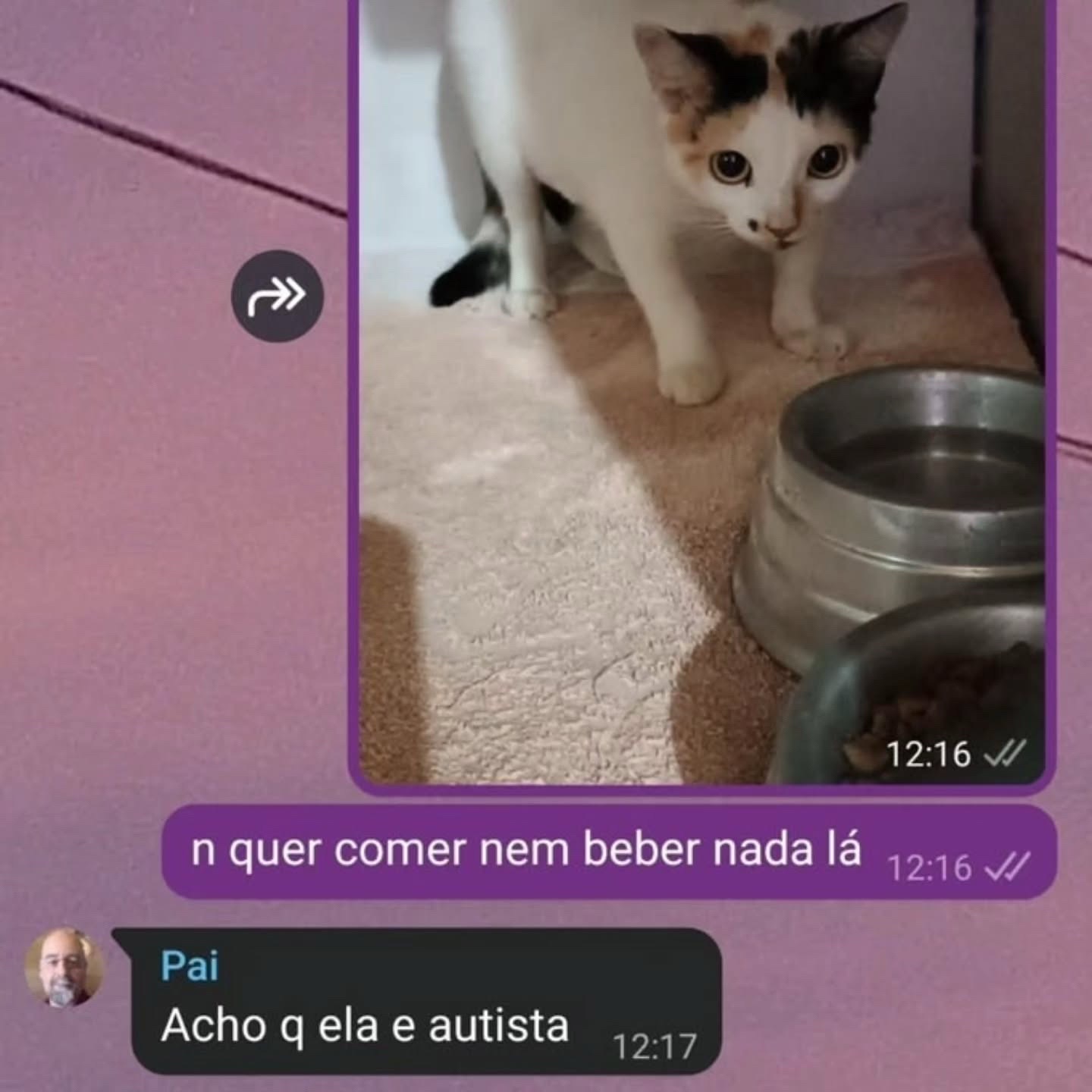 @AqueleMemeTTK