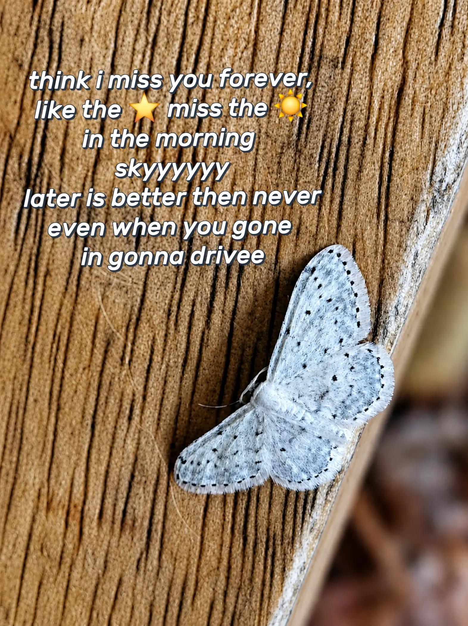 @naomi.01113