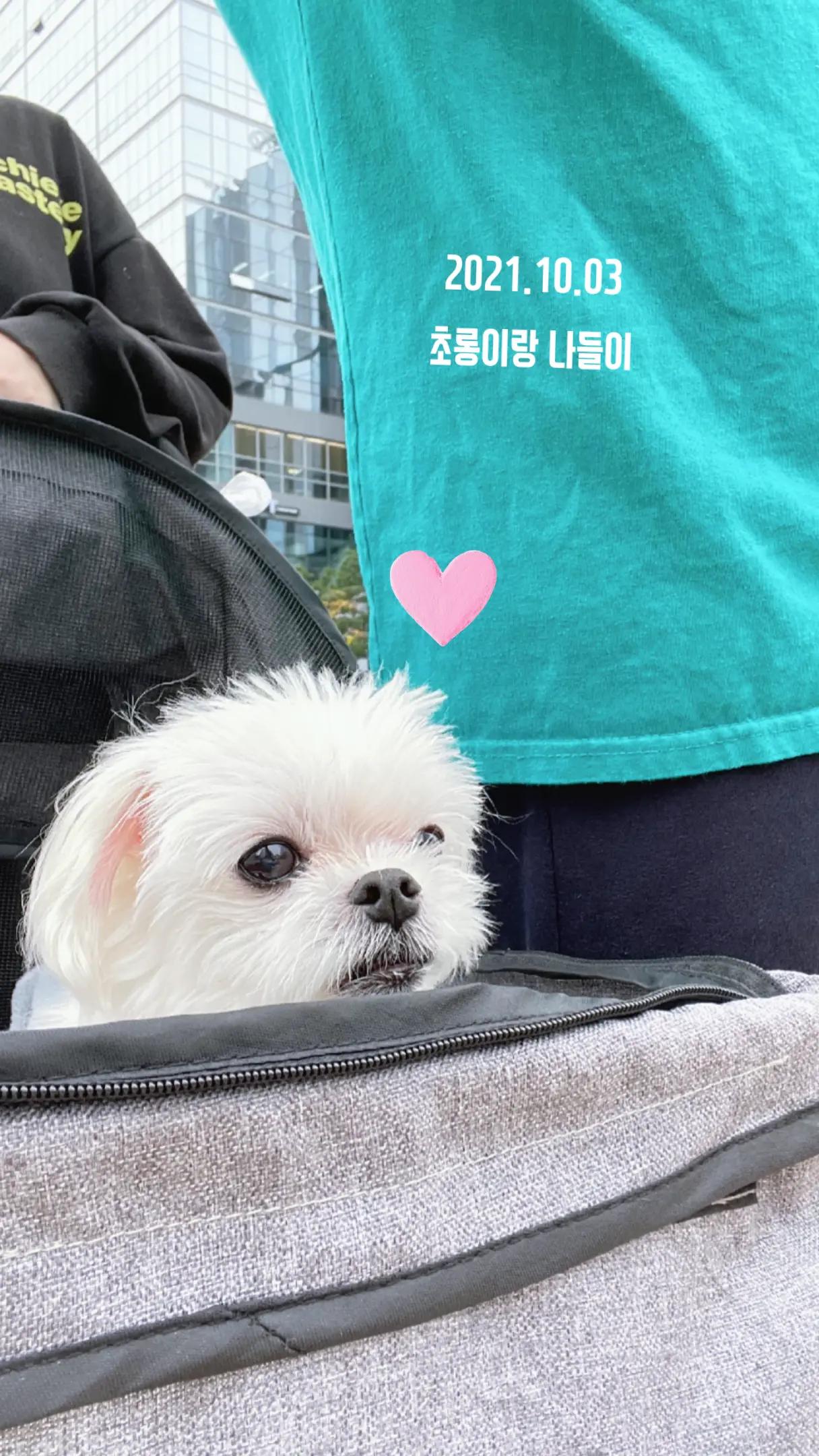 @초롱맘