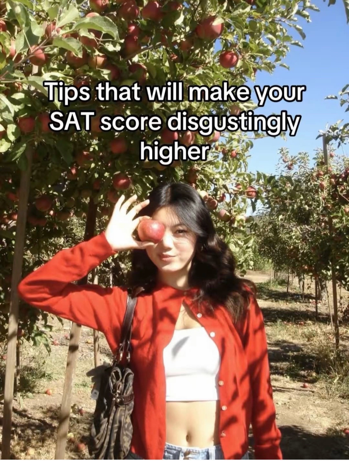 @samstudies67