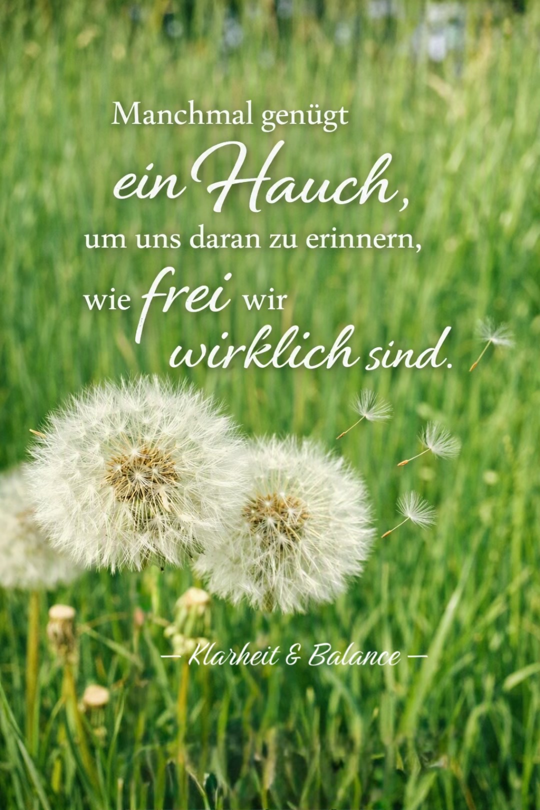 @Lily🇩🇪🇹🇭 ที่นี่มีกำลังใจ💕