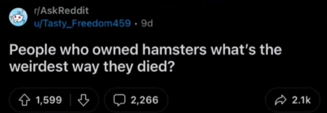 @lopster