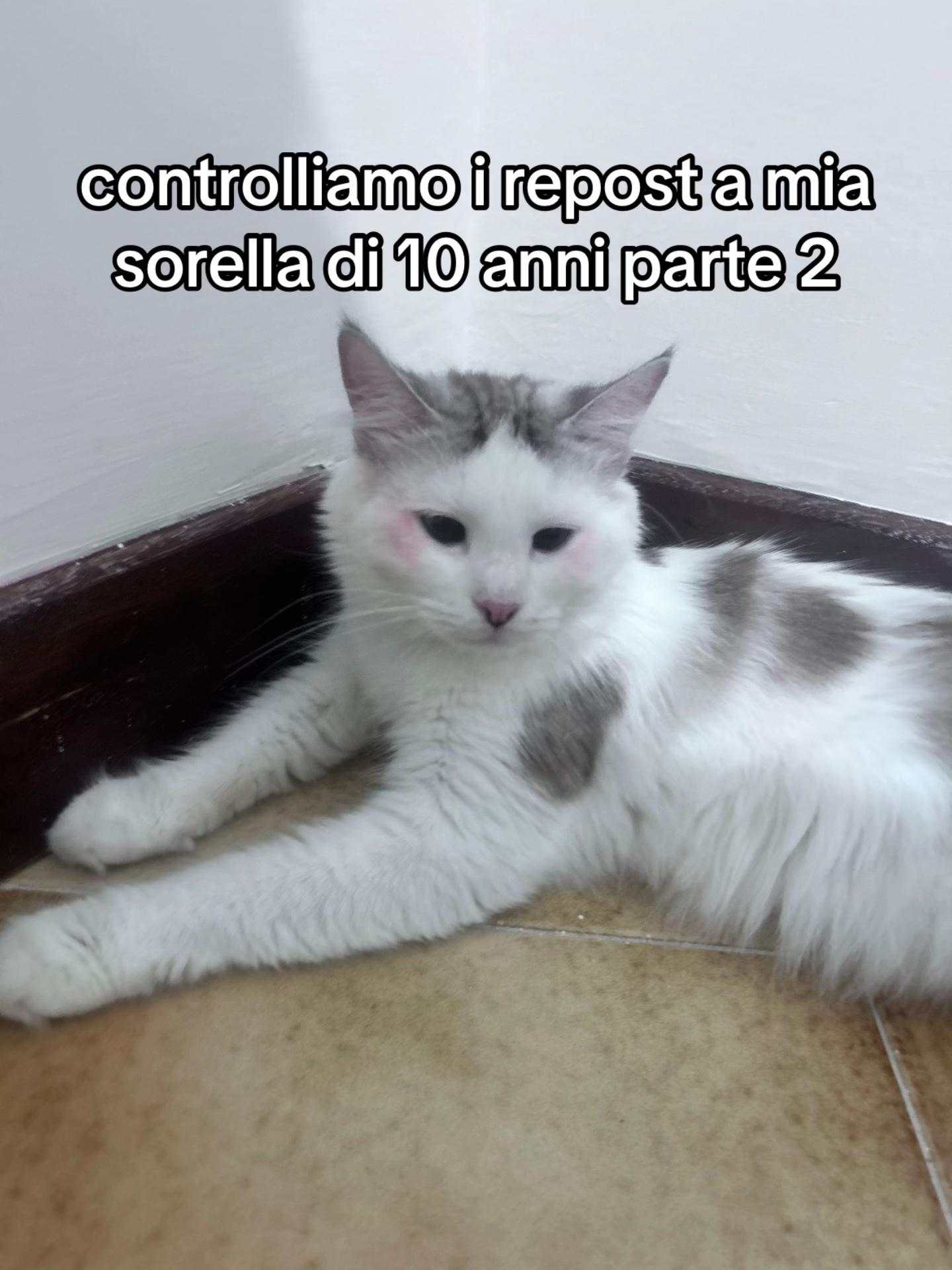 @𝓪𝓷𝓰𝓮