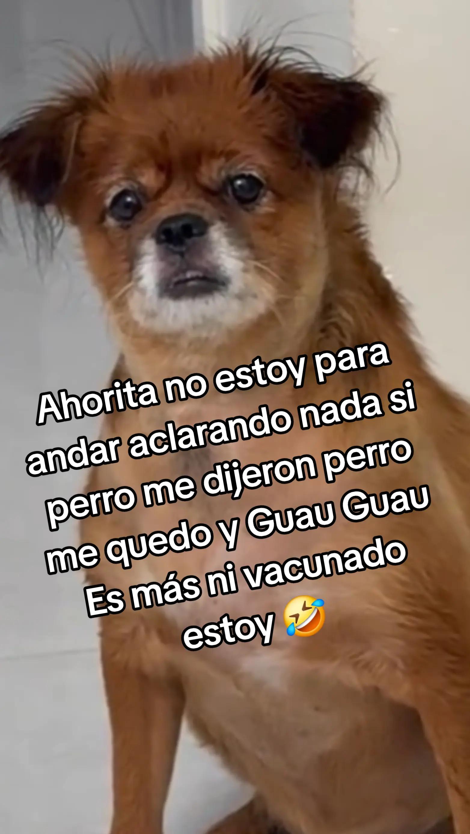 @Omar Vargas