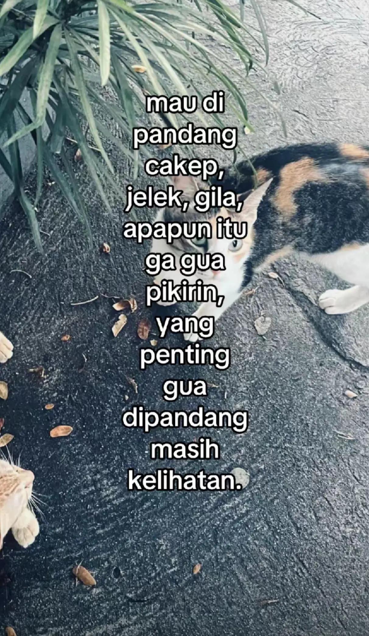 @nantha.aja🌻