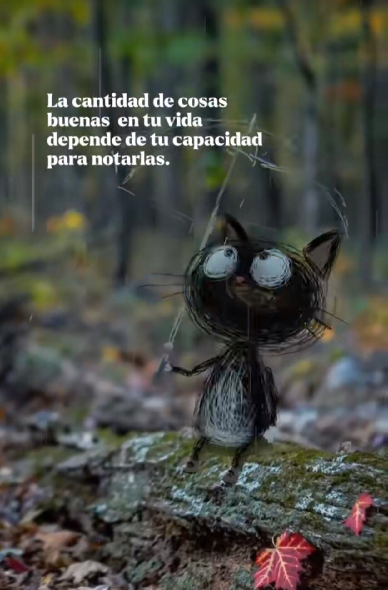 @Allan Garcia cabezas
