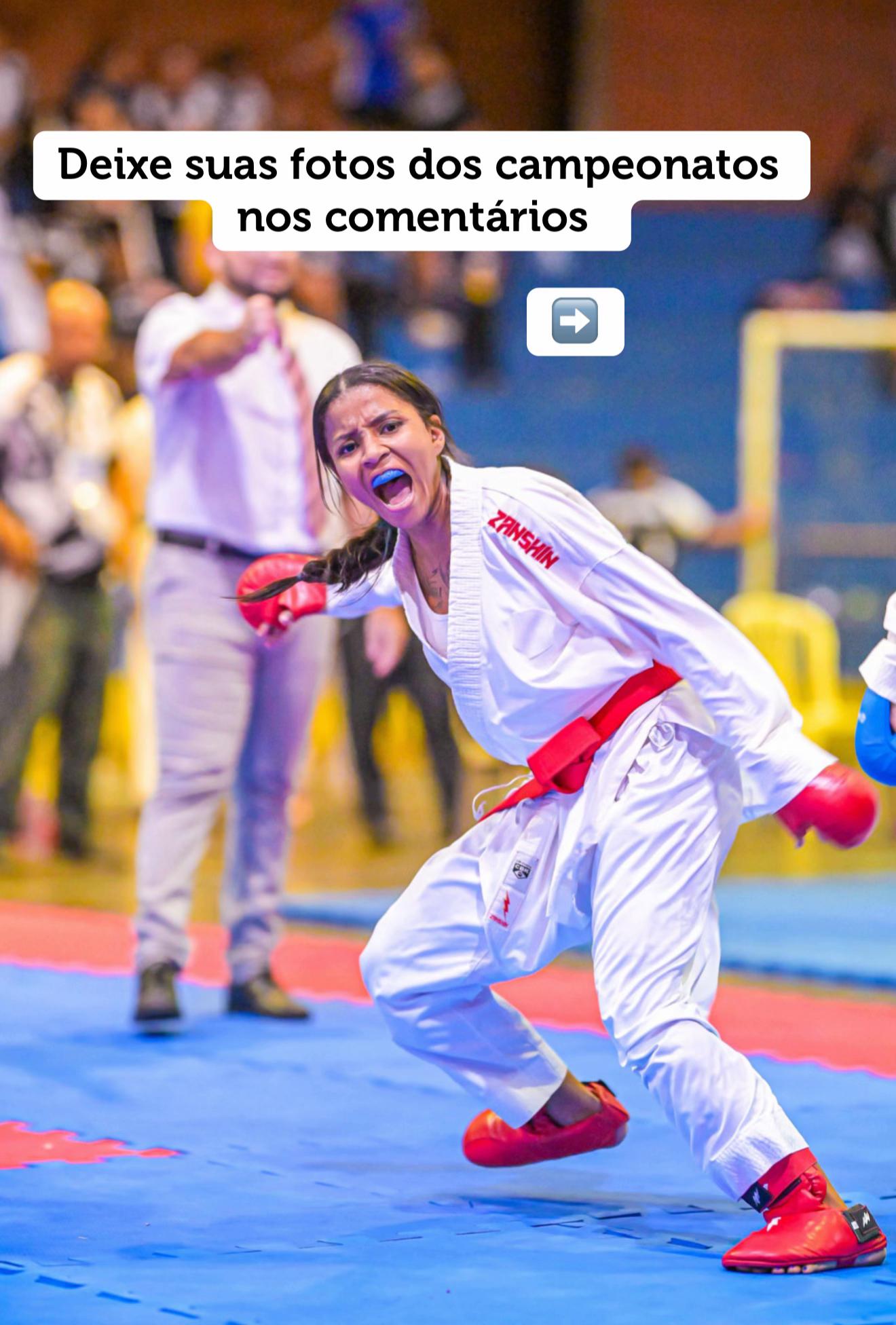 @diario.da.karateca