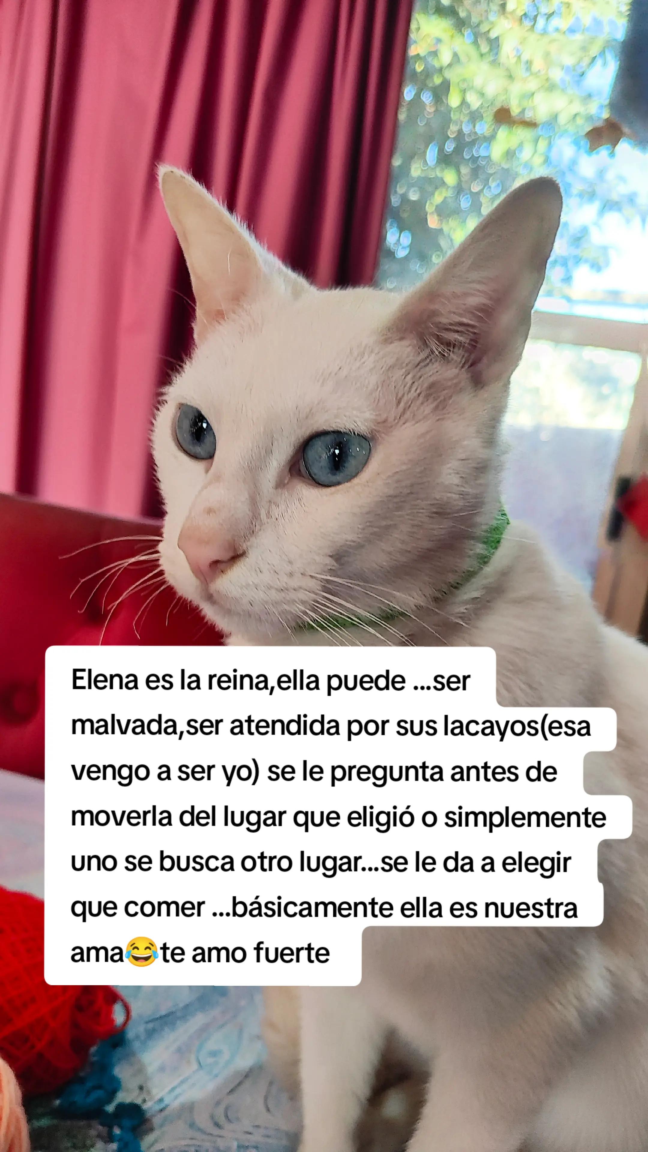 @Guadalupe Gundin