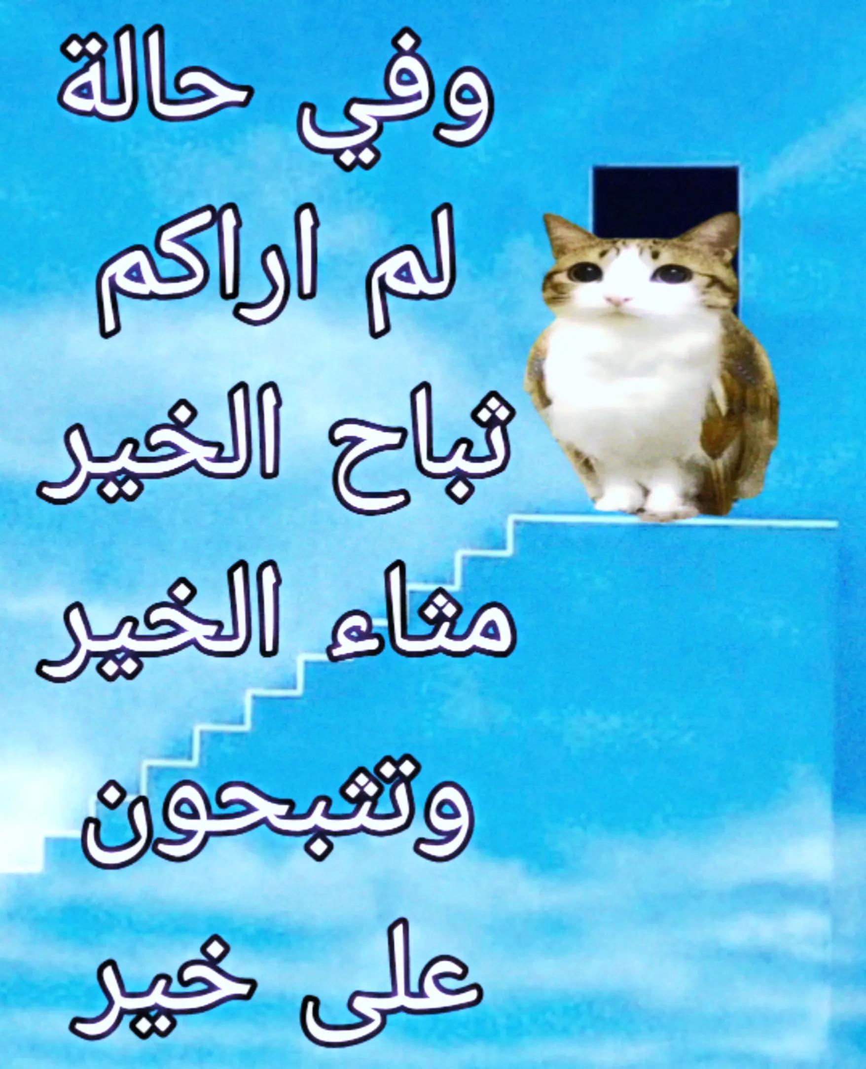 @سدير