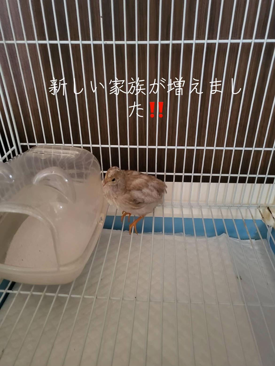 @釣り依存症