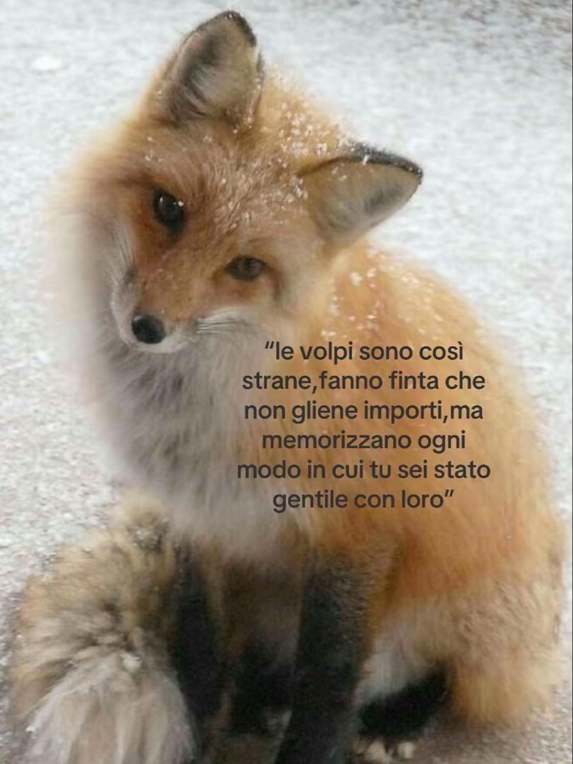 @un’altro_spamm