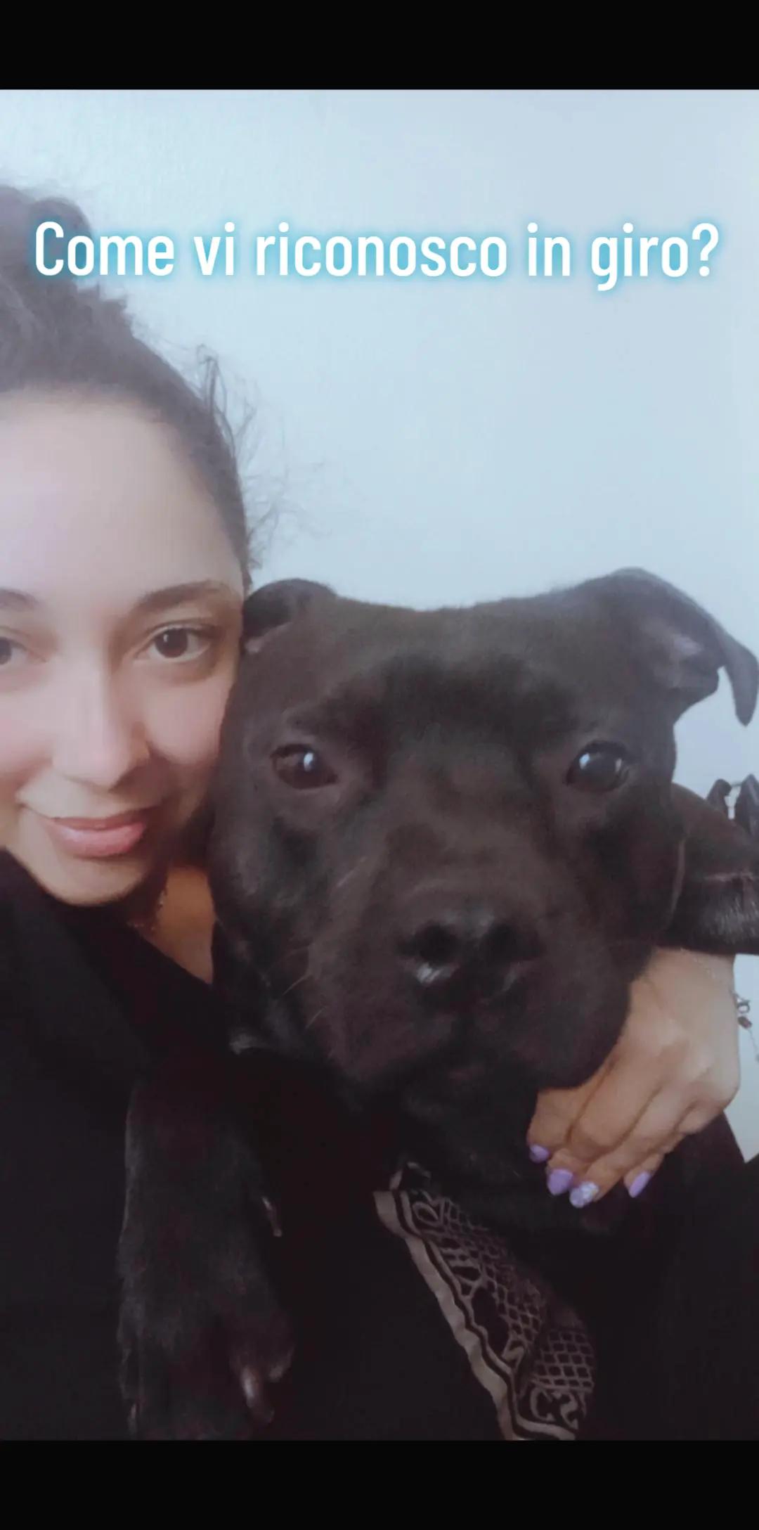 @Faby&Athos🐾