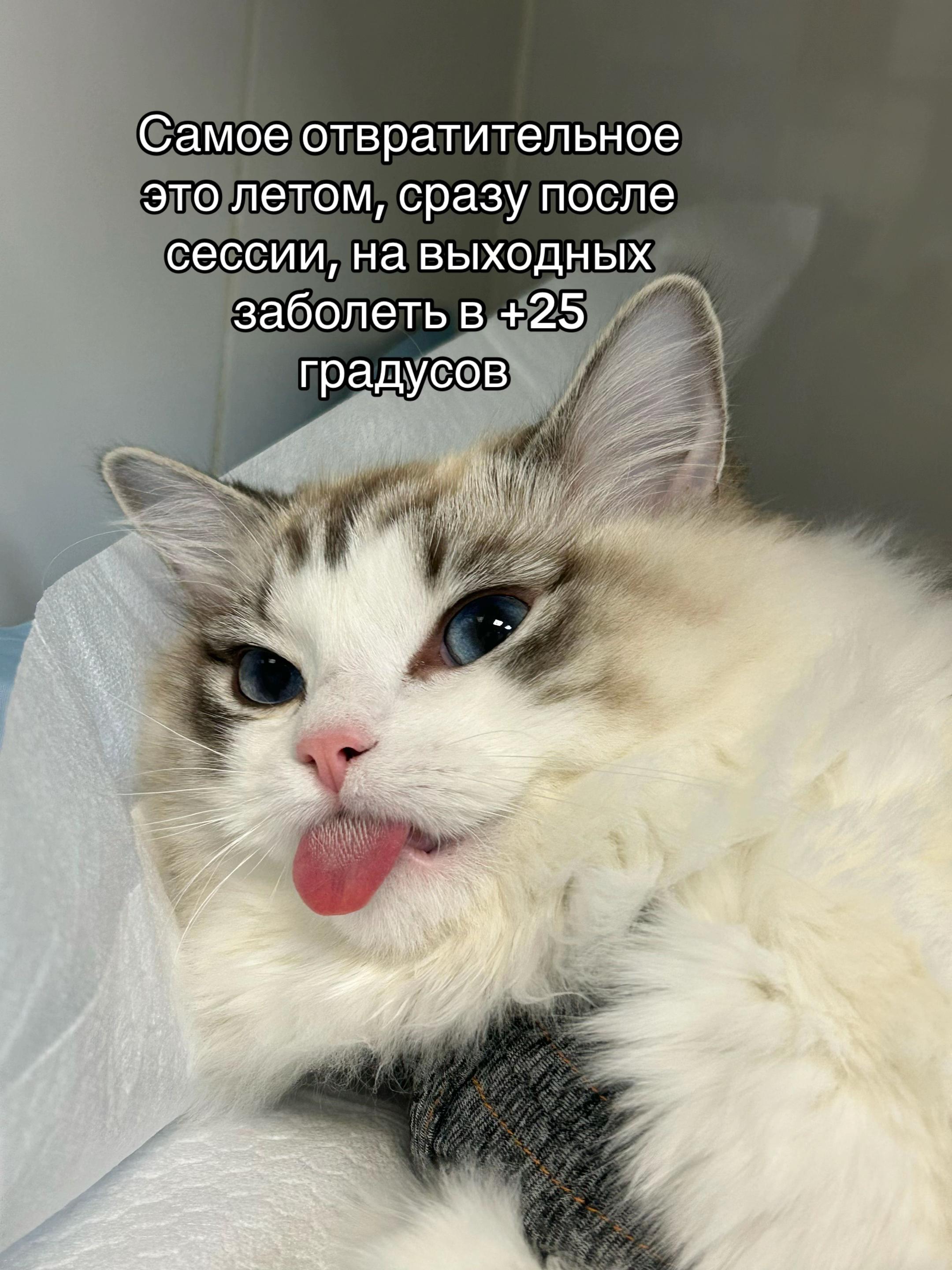 @Бельферг