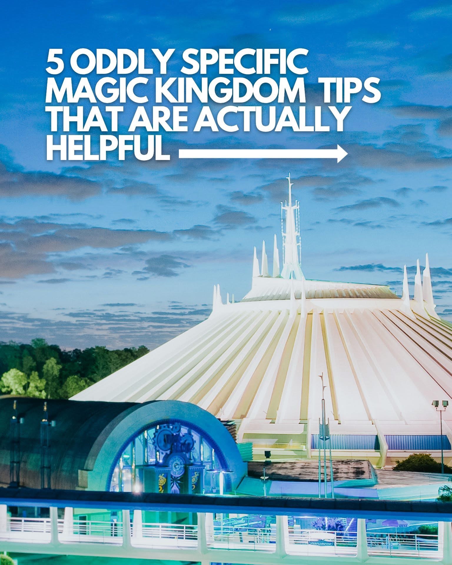 @Disney Trip&Tips With Tiny
