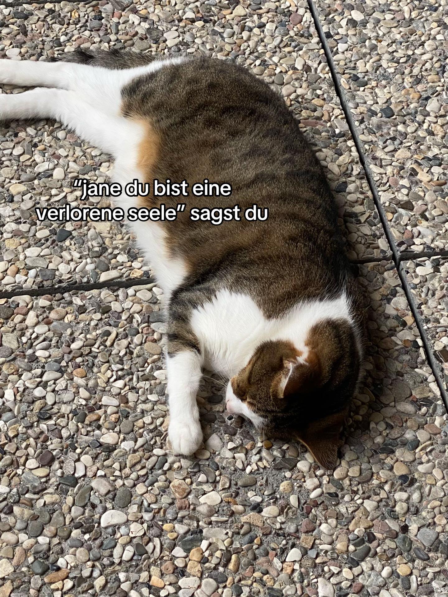 @jane