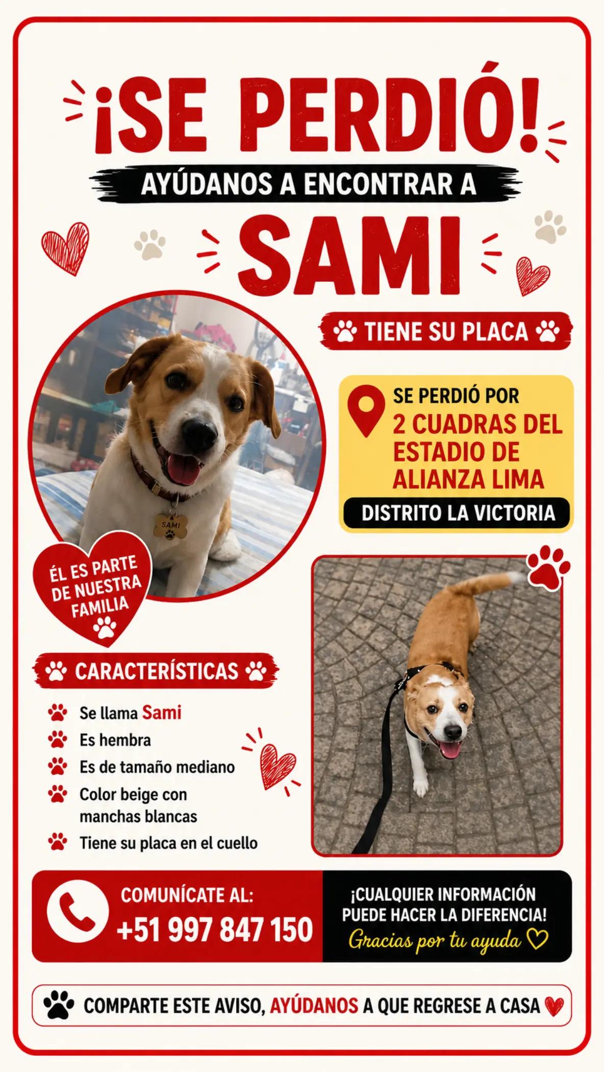 @Perritos Voladores