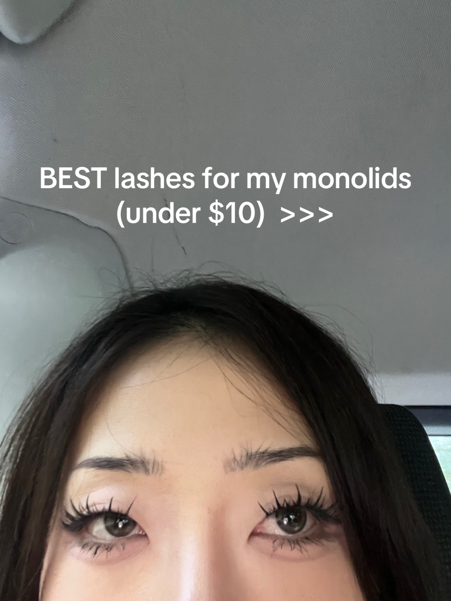 @annoyingtinybear