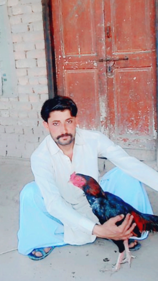 @Deedar Ali Lakhan