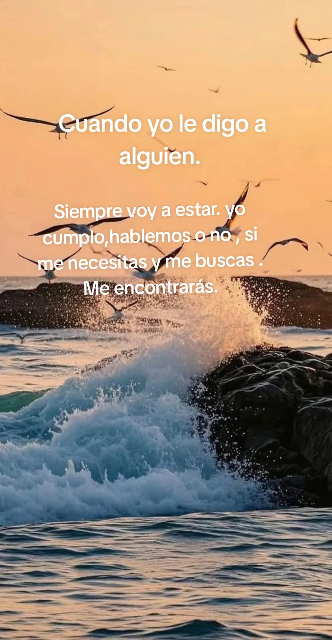 @normita