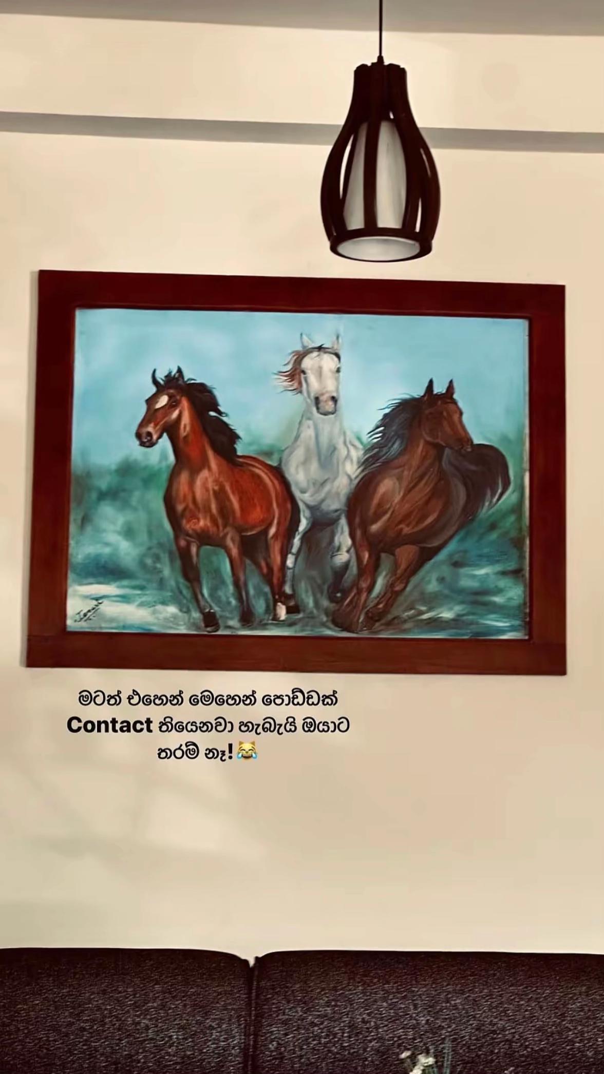 @praneeth_rasanjana