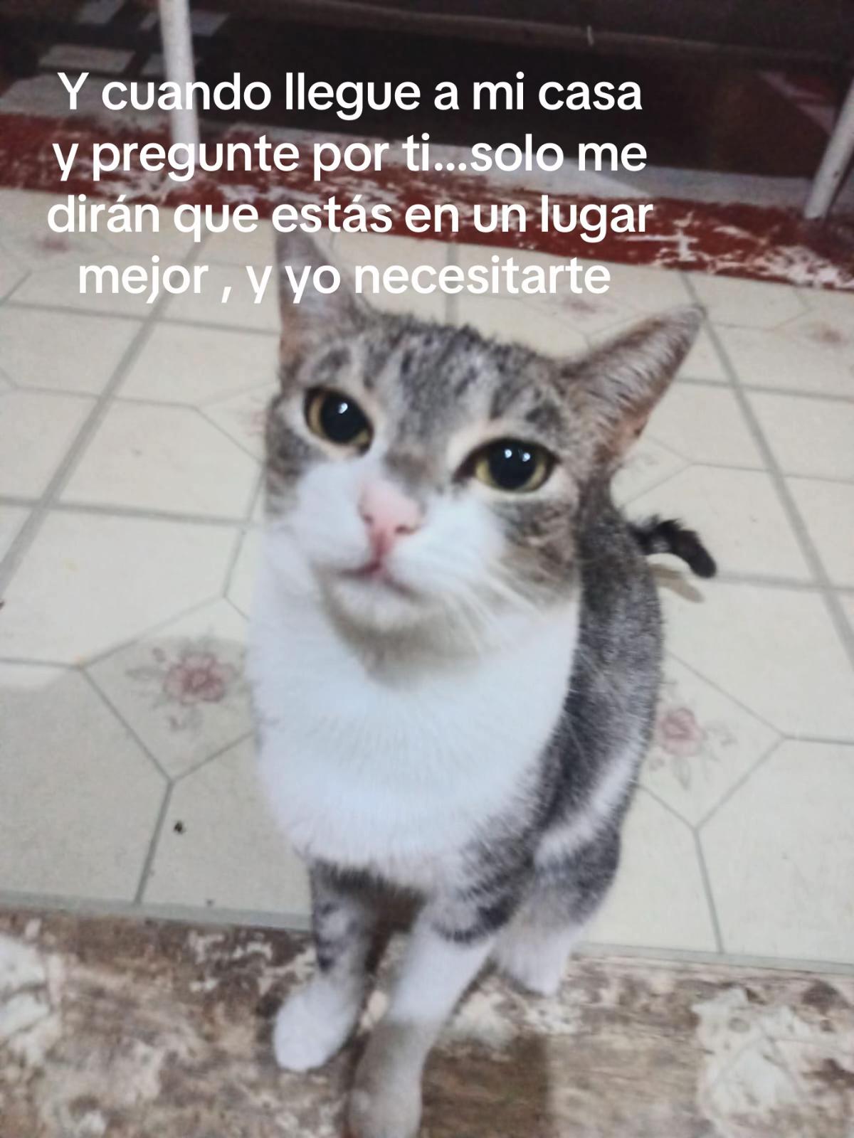 @jeeim_2