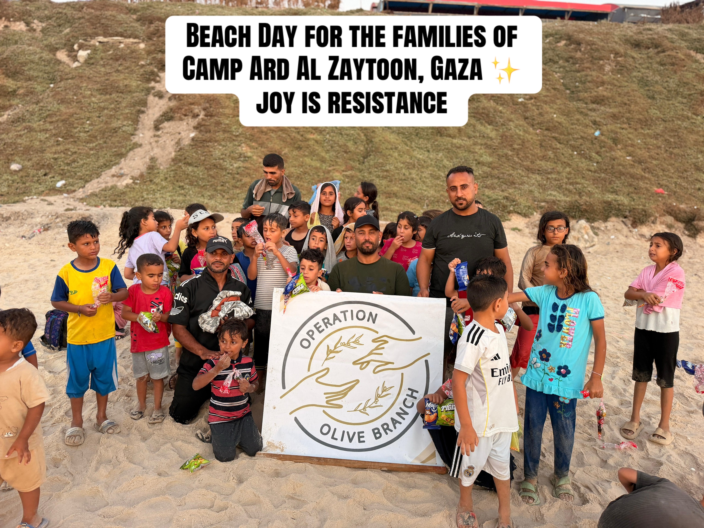 @Operation Olive Branch