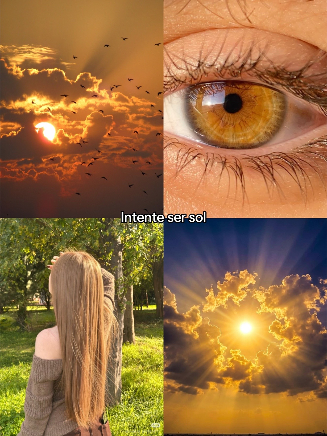@I_lovesaysay