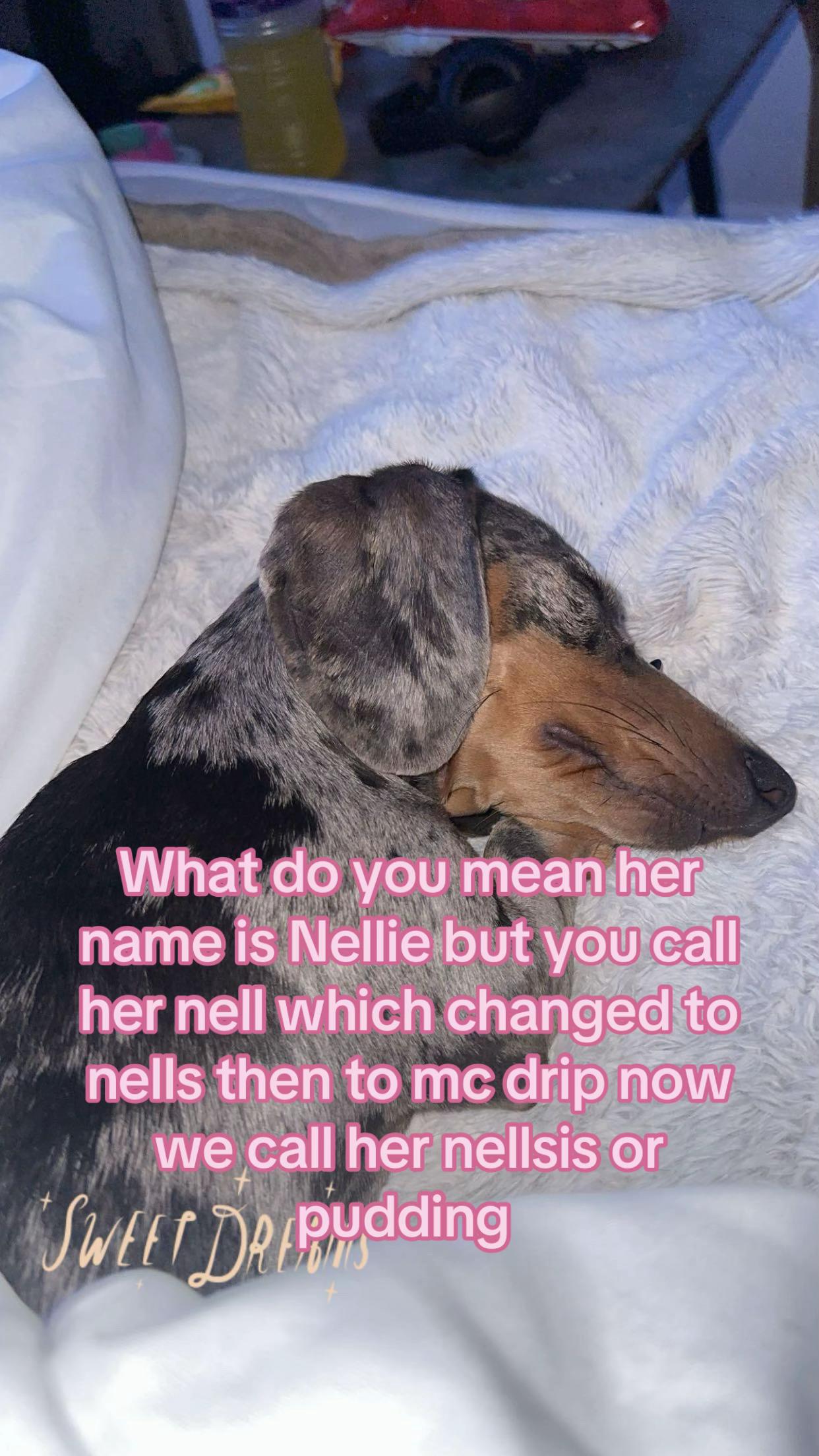 @J3N