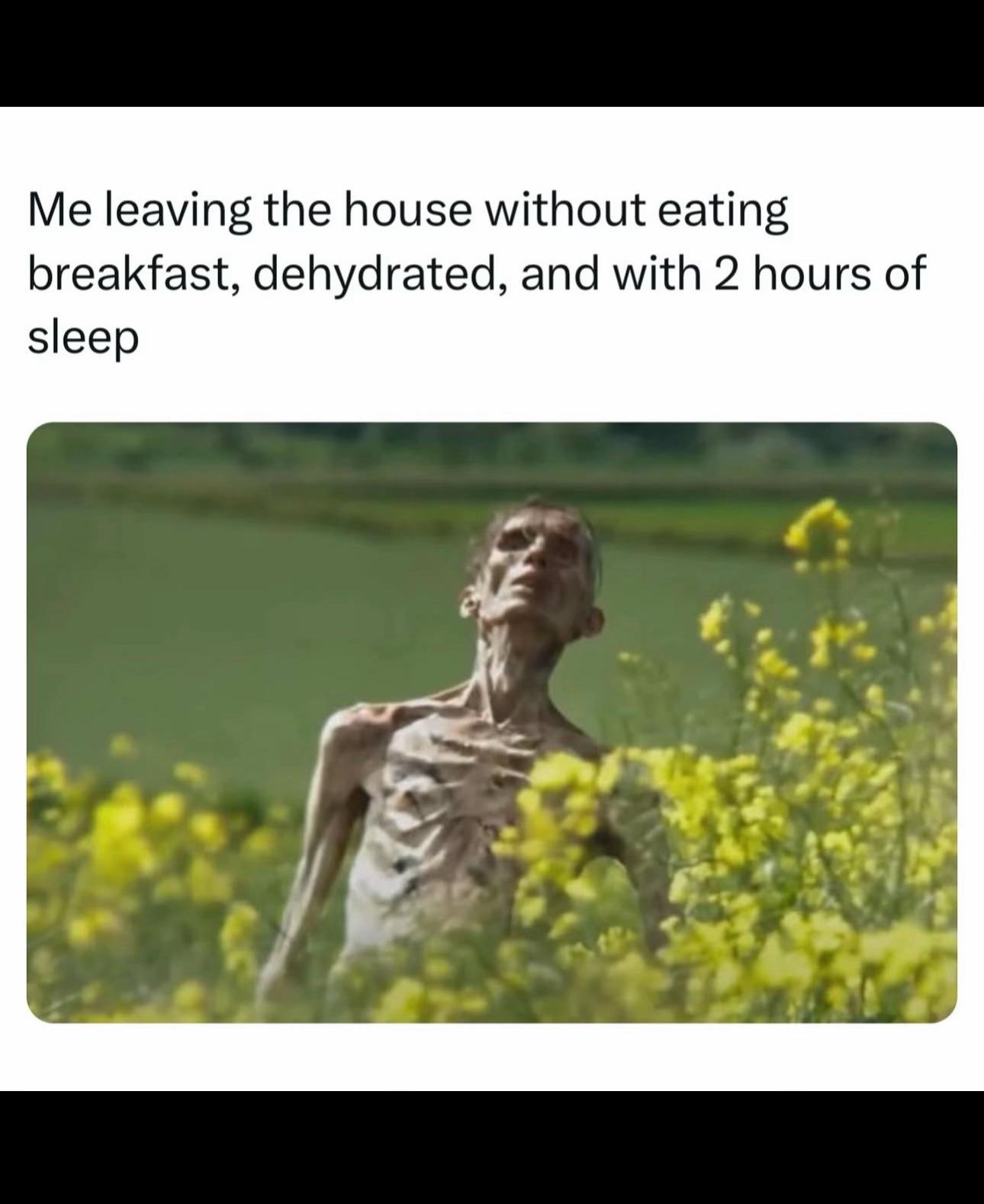 @Pawpkulturecomedy