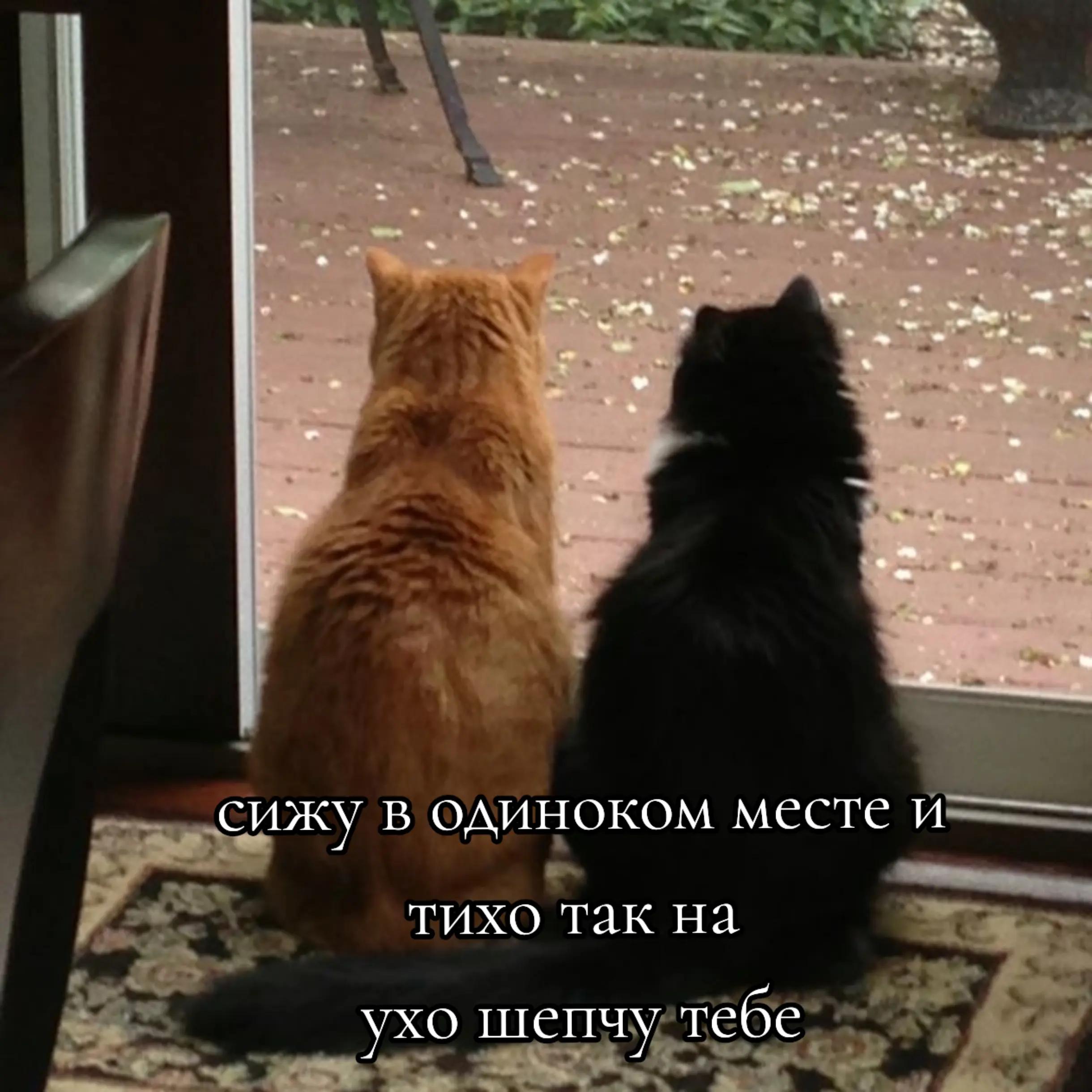 @Stacy Podsolnyshek(!)@