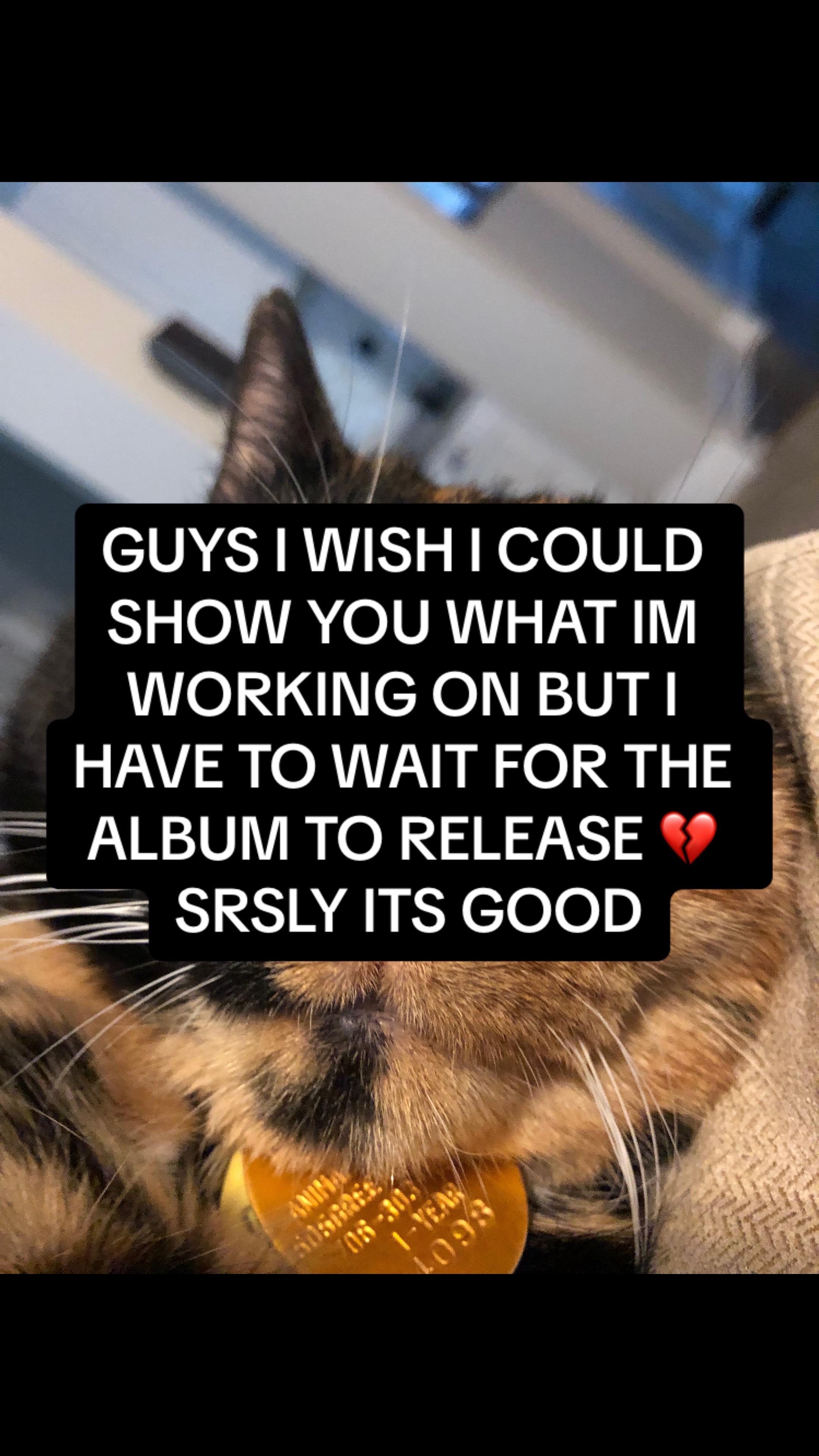@Oat 🦎👁️/🐸🌈/⚔️🎀