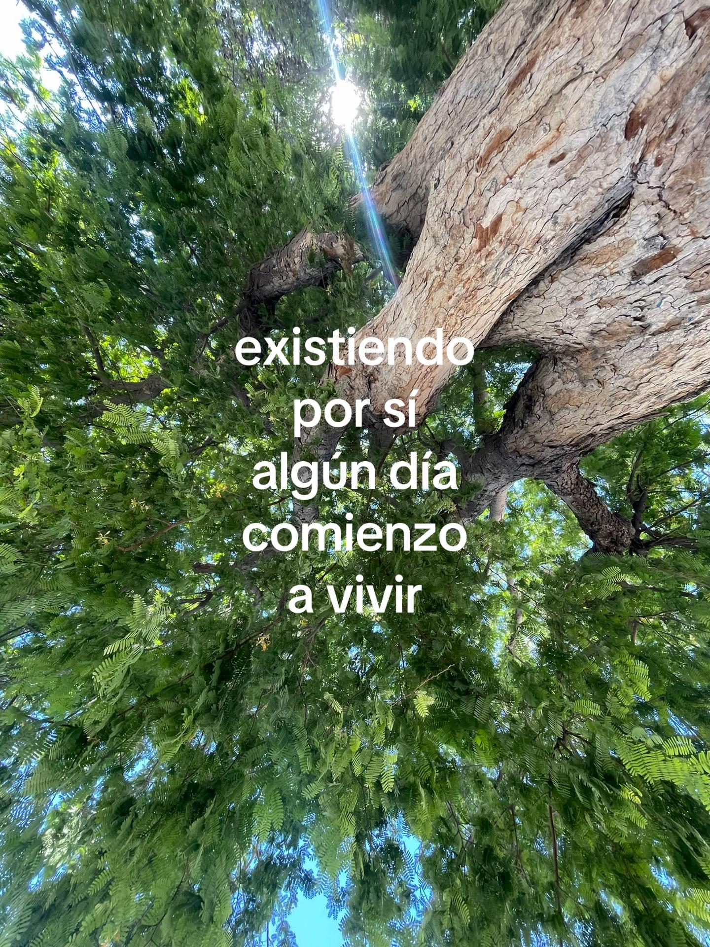 @yesi¿dónde estás? ִ ۫ ּ