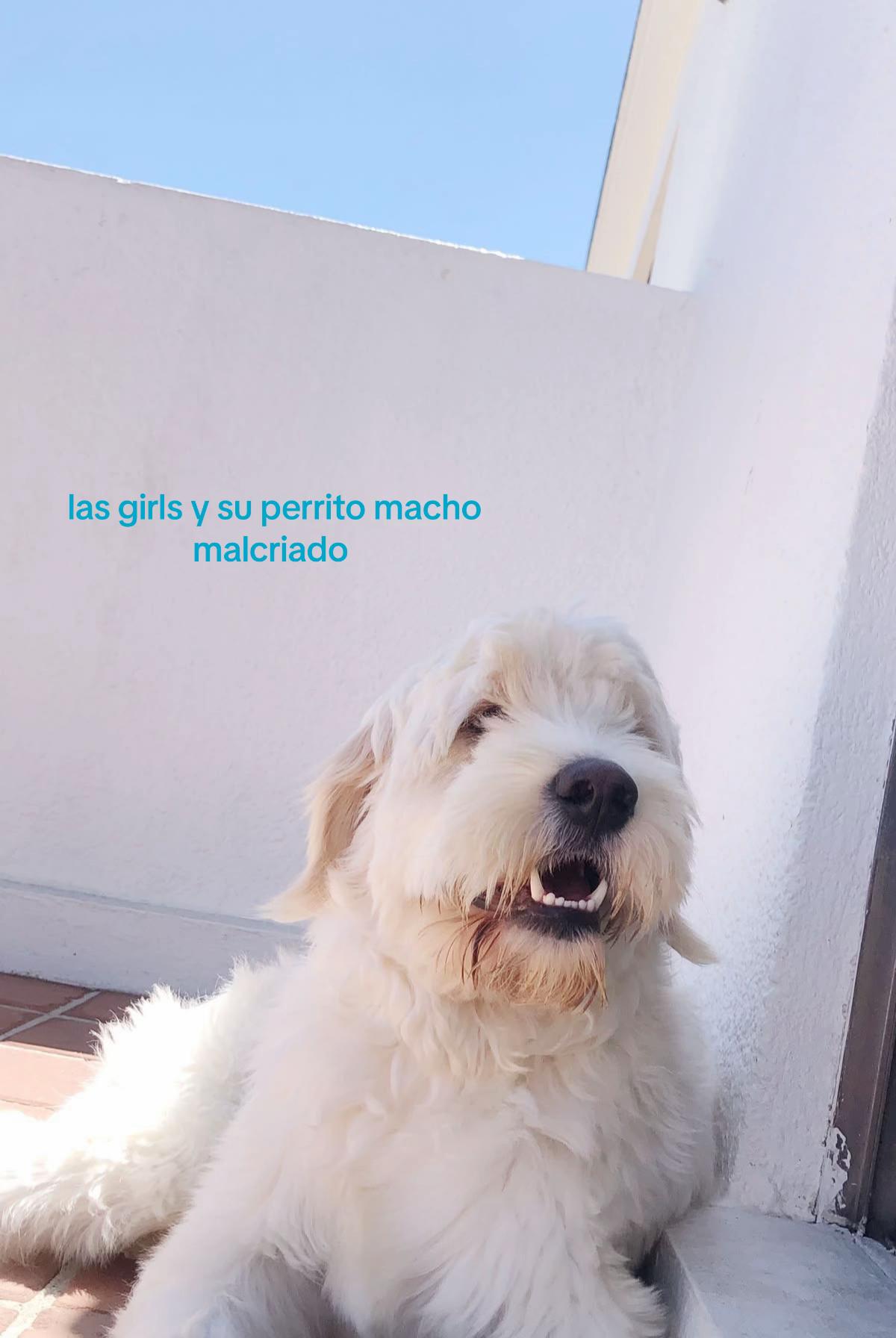 @Ele